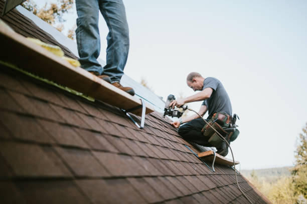 Professional Roofing Contractor in Lakeside, MT